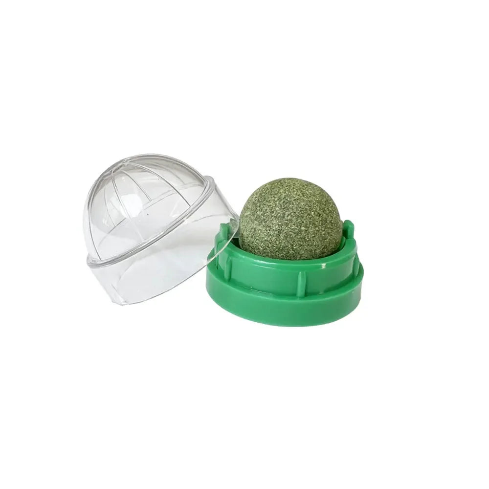 Rascador de Pared con Hierba Gatera y Snack Natural para Gatos