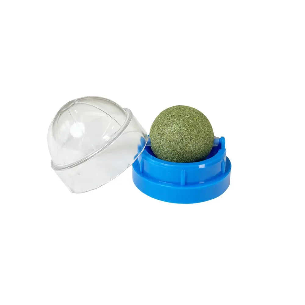 Rascador de Pared con Hierba Gatera y Snack Natural para Gatos